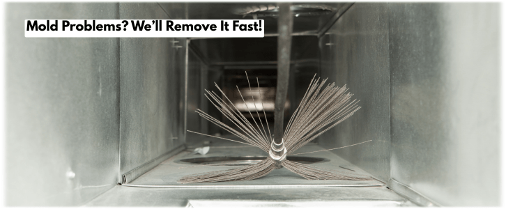 Air Duct Mold Removal in Long Beach